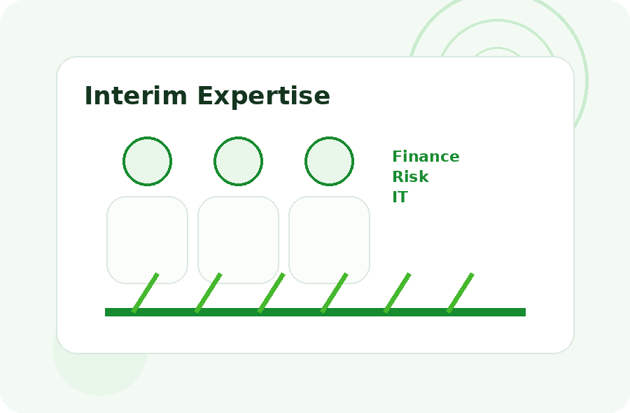 Interim Expertise